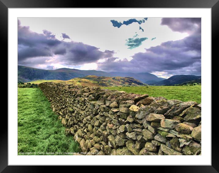 Drystone Wall in Cumbria Lake District  Framed Mounted Print by Terry Senior