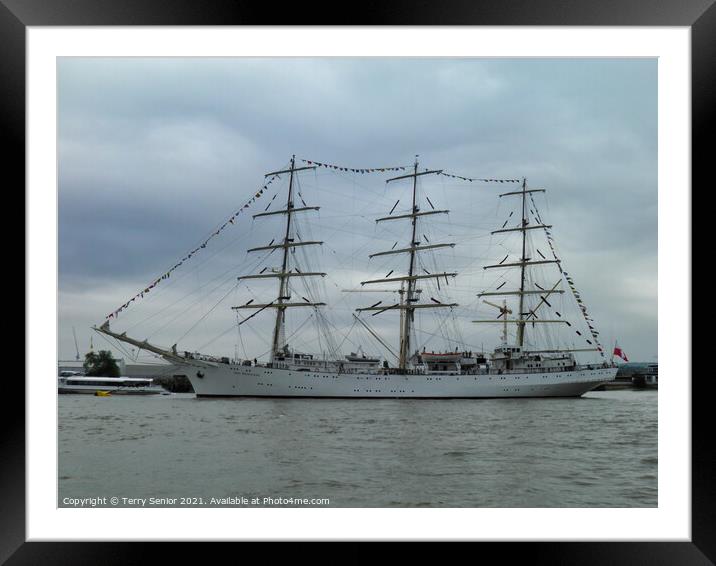 Dar Mlodziezy three mast Tall Ship on the River Thames at Greenwich Regatta Framed Mounted Print by Terry Senior