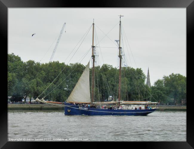 The Gallant Tall Ship on the River Thames at the Greenwich Tall Ships Regatta Framed Print by Terry Senior