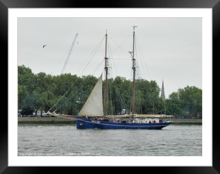 The Gallant Tall Ship on the River Thames at the Greenwich Tall Ships Regatta Framed Mounted Print by Terry Senior