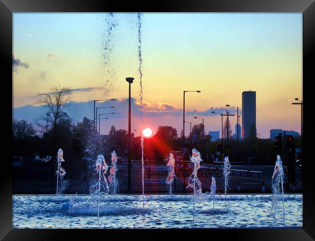 Dancing in the sunset Framed Print by Terry Senior