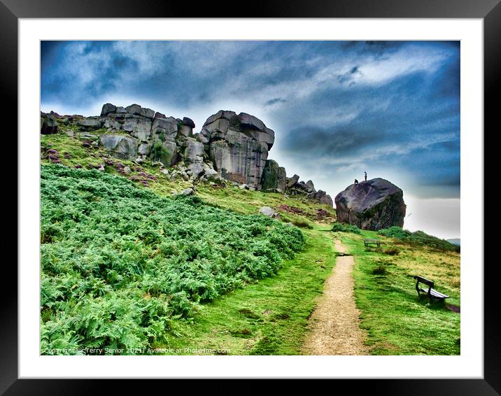"Cow and Calf", a large rock formation consisting  Framed Mounted Print by Terry Senior