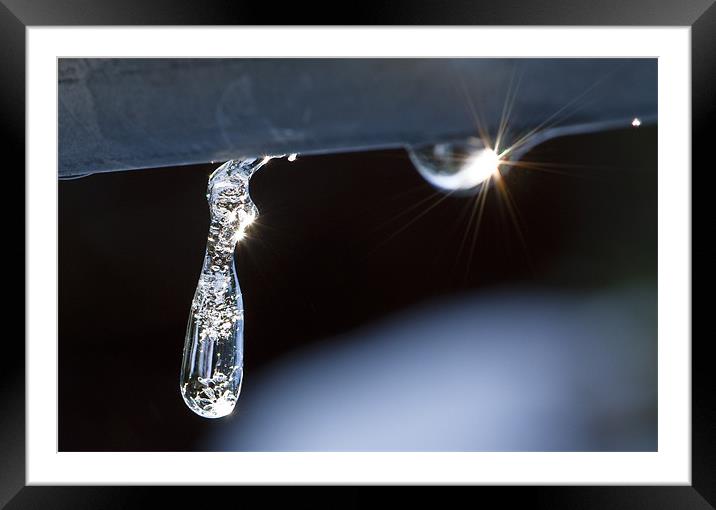 Icy Sparkle Framed Mounted Print by David Rees