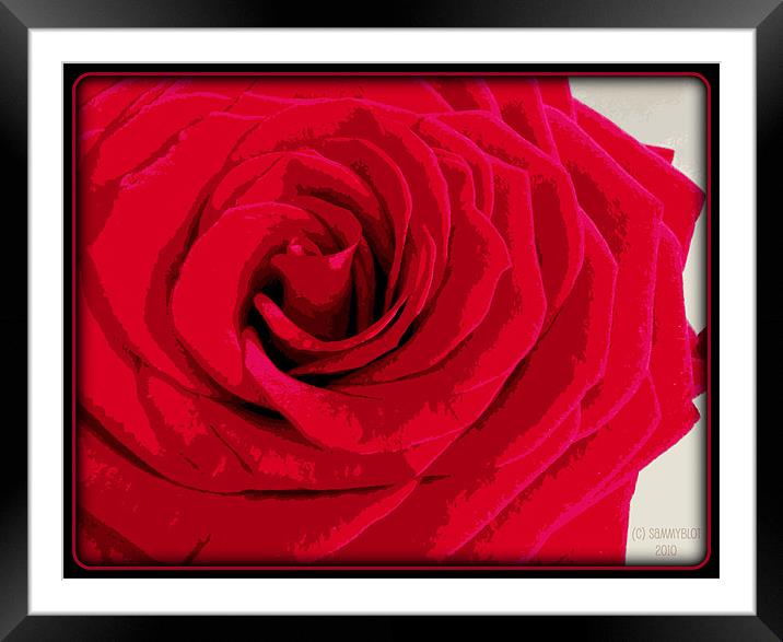 Redder Rose Framed Mounted Print by samantha bartlett