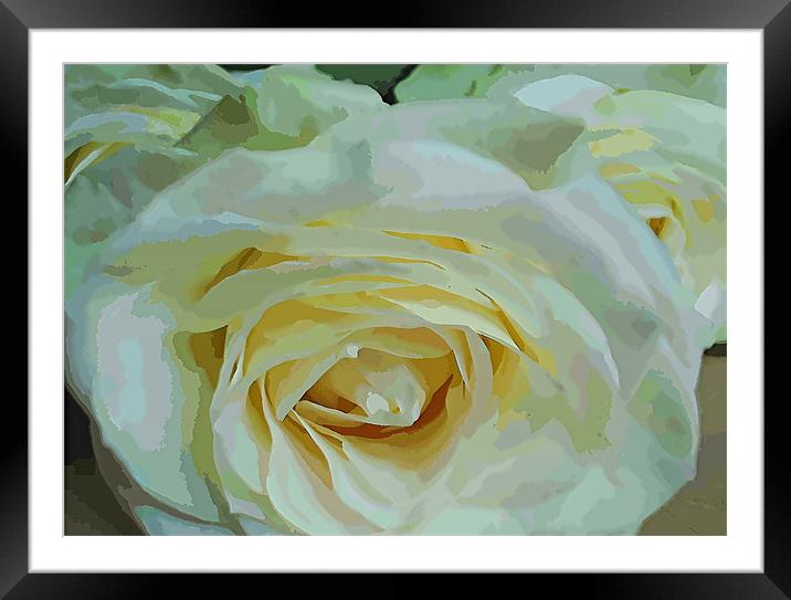 Roses are 3 Framed Mounted Print by samantha bartlett