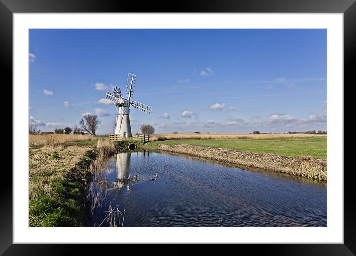 Thurne Mill Framed Mounted Print by Paul Macro
