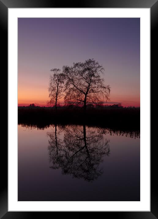 Reflective Tree at Sunset Framed Mounted Print by Paul Macro