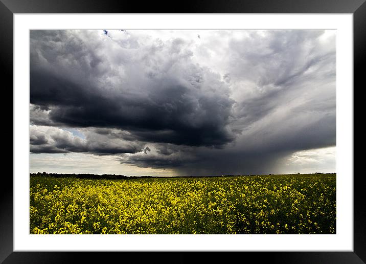 Storms over Rapeseed Framed Mounted Print by Paul Macro