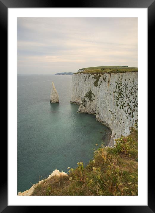 The Pinnacles at Old Harry Rocks Framed Mounted Print by Ian Middleton
