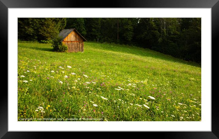 Summer meadow near Lake Bled Framed Mounted Print by Ian Middleton