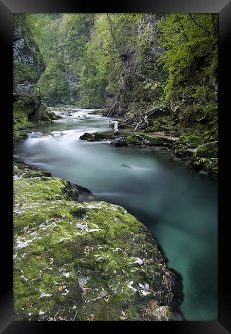 The Soteska Vintgar gorge at dusk Framed Print by Ian Middleton