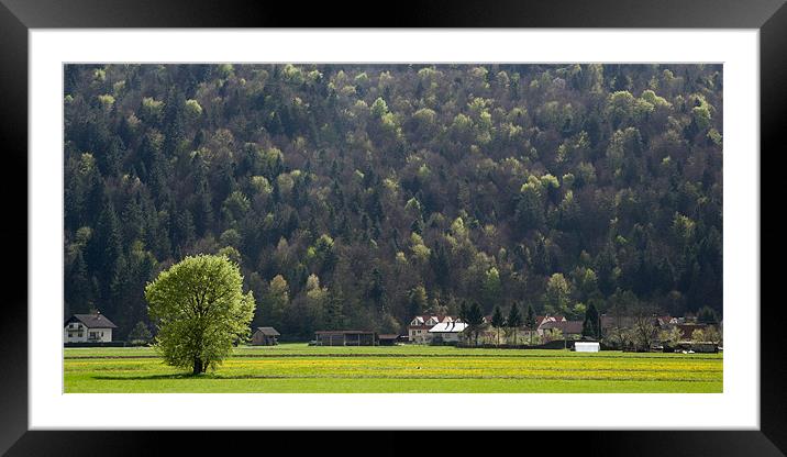 On my own Framed Mounted Print by Ian Middleton