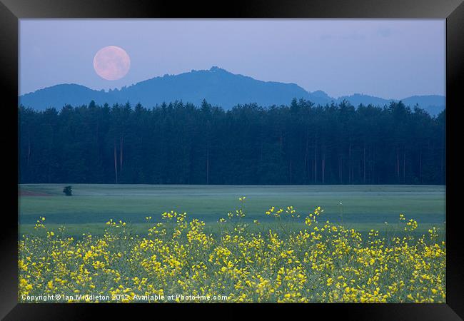 Full Moon setting over mountains and rapeseed Framed Print by Ian Middleton