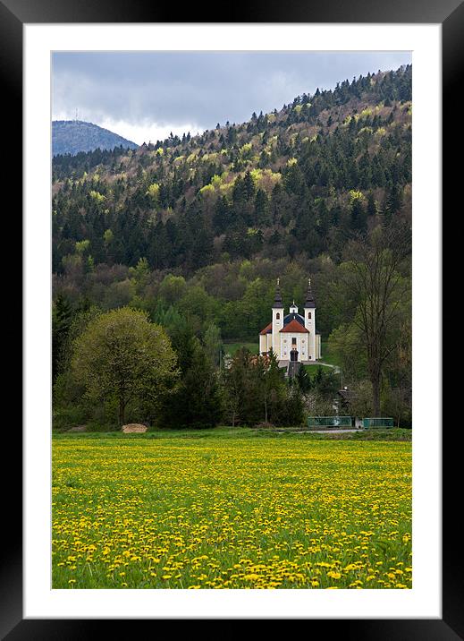 Ljubljana marshland Framed Mounted Print by Ian Middleton