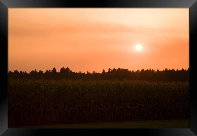 Hazy summer sunset Framed Print by Ian Middleton
