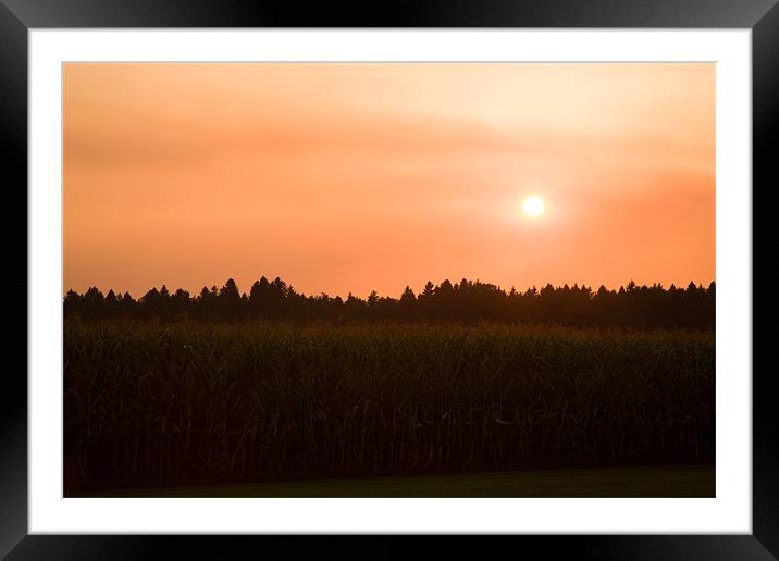 Hazy summer sunset Framed Mounted Print by Ian Middleton