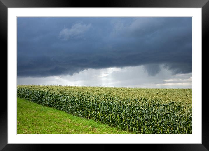 Storm over cornfield in Southern Germany Framed Mounted Print by Ian Middleton