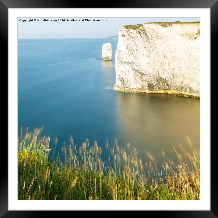 Morning light at Old Harry Rocks Framed Mounted Print by Ian Middleton