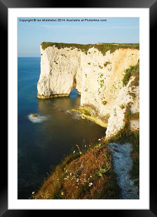 Morning light at Old Harry Rocks Framed Mounted Print by Ian Middleton