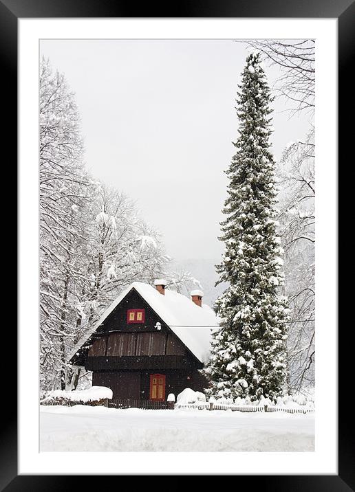Bohinj, Triglav National Park, Slovenia. Framed Mounted Print by Ian Middleton
