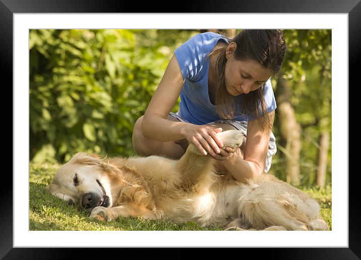 Girl playing with golden Retriever , Slovenia Framed Mounted Print by Ian Middleton