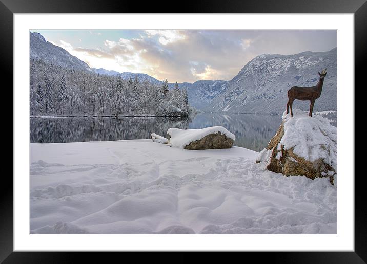 Alpine moods Framed Mounted Print by Ian Middleton