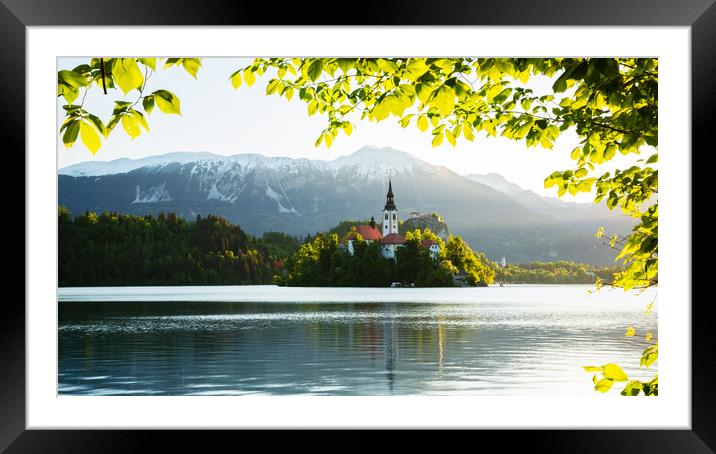 Spring colours at Lake Bled Framed Mounted Print by Ian Middleton
