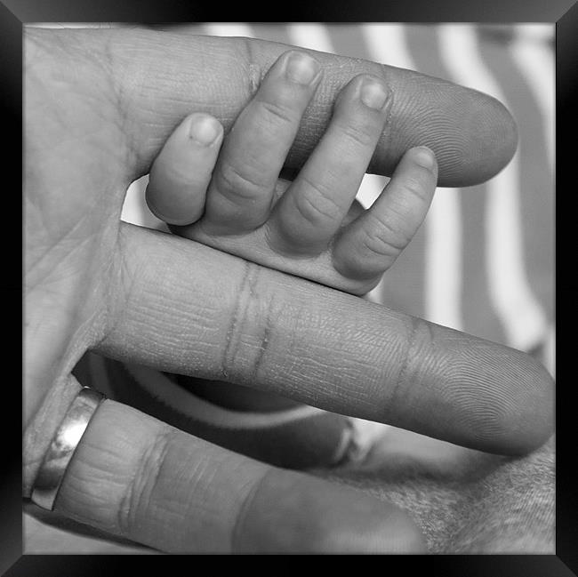 Baby's hand holding father's finger Framed Print by Ian Middleton