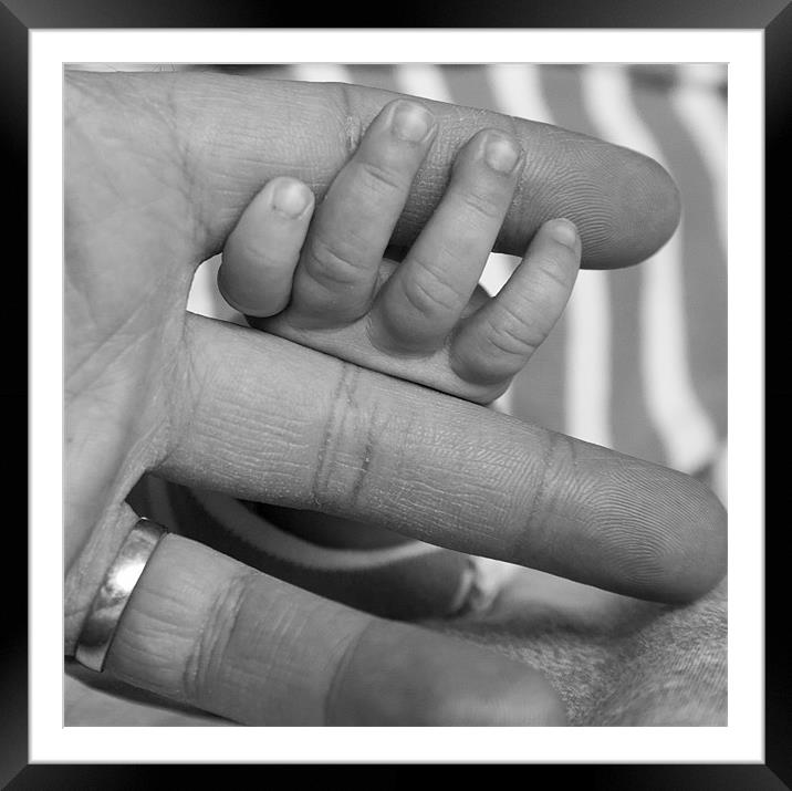 Baby's hand holding father's finger Framed Mounted Print by Ian Middleton