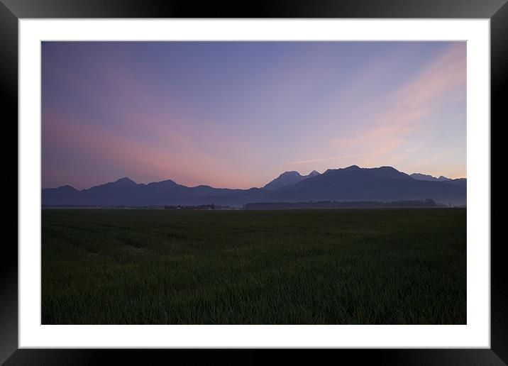 Alps at dawn Framed Mounted Print by Ian Middleton