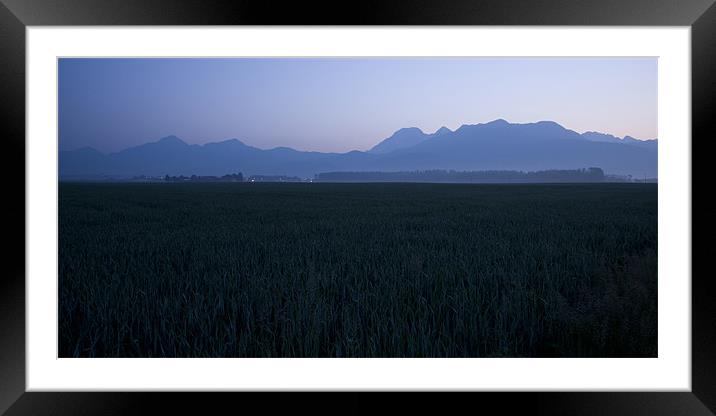 Dawn over the alps Framed Mounted Print by Ian Middleton