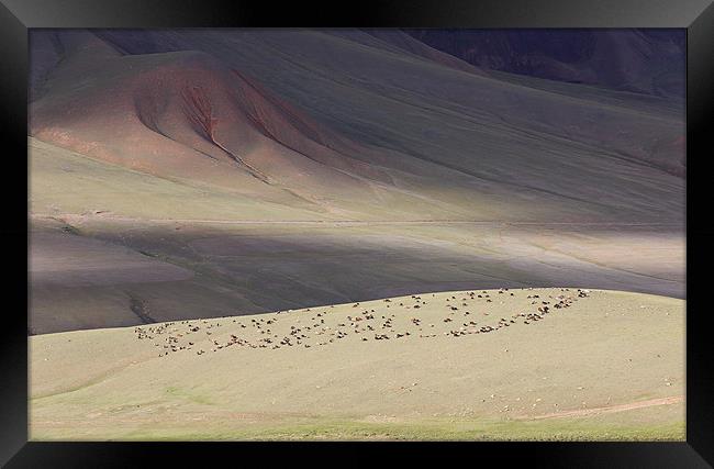 Hills of Kyrgyzstan Framed Print by Sergey Golotvin