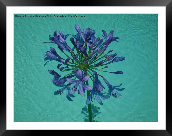 Flower of Love Framed Mounted Print by Julie Robinson