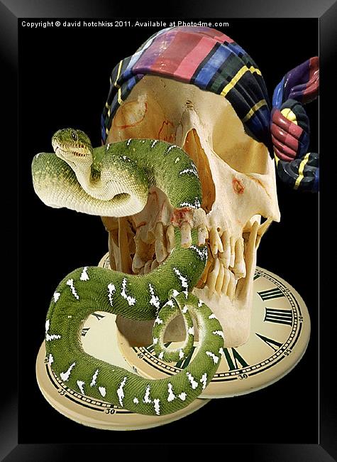 TIME TO SNAKE OUT Framed Print by david hotchkiss