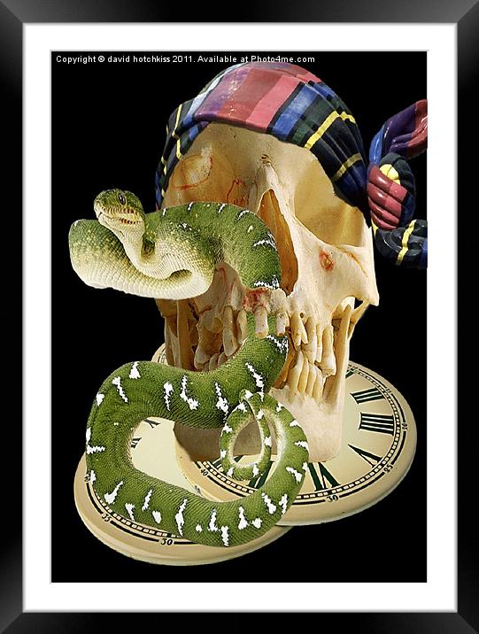 TIME TO SNAKE OUT Framed Mounted Print by david hotchkiss