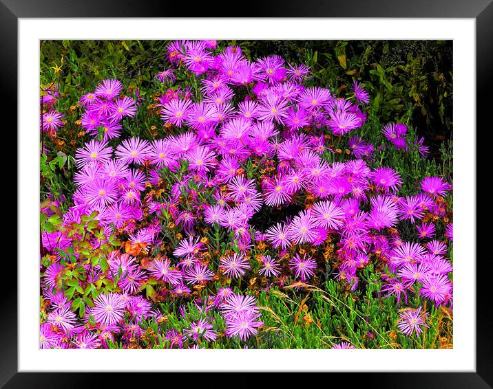 Simply flowers Framed Mounted Print by Lenka Dunn