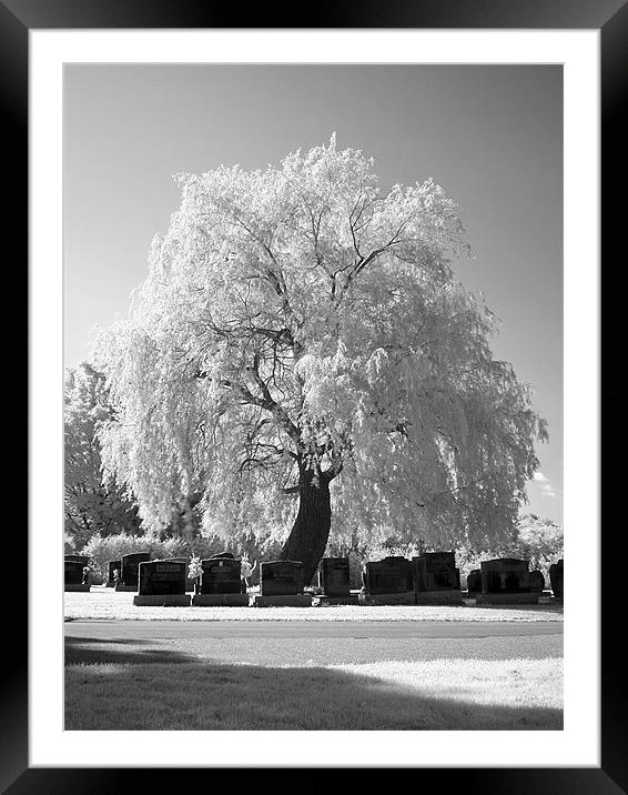 Cemetary Framed Mounted Print by Jean-François Dupuis