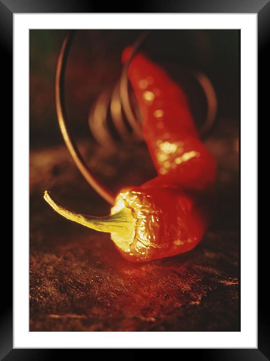 Red pepper Framed Mounted Print by Jean-François Dupuis