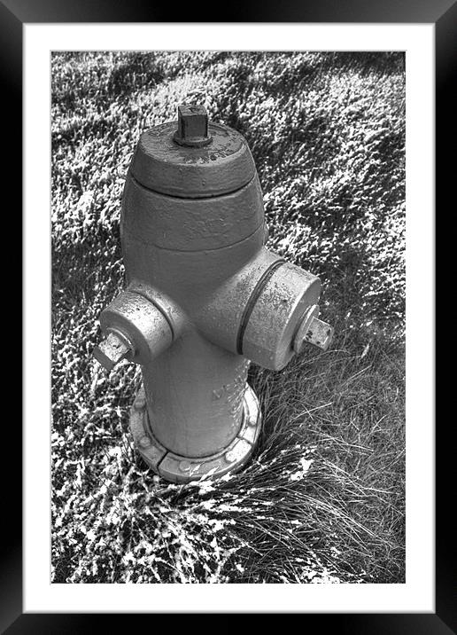 Hydrant Framed Mounted Print by Jean-François Dupuis