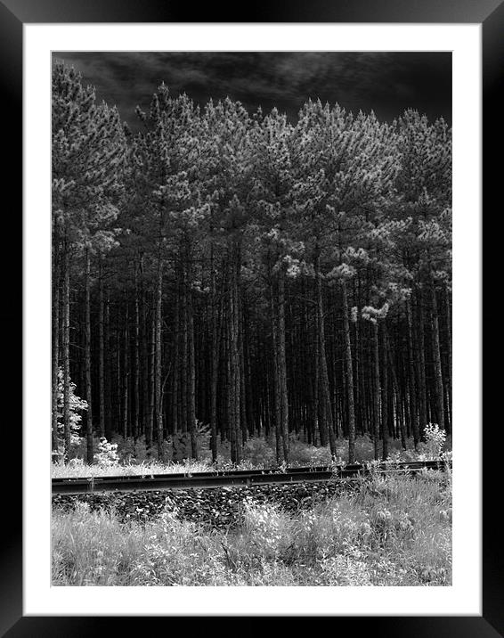 Infrared photography Framed Mounted Print by Jean-François Dupuis