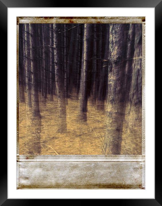 Forest Framed Mounted Print by Jean-François Dupuis