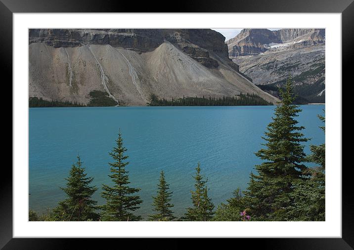 lake water in canada Framed Mounted Print by milena boeva