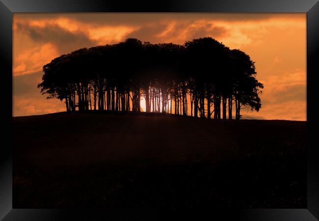 Coming Home Trees Nearly Home Trees Sunset Framed Print by Oxon Images