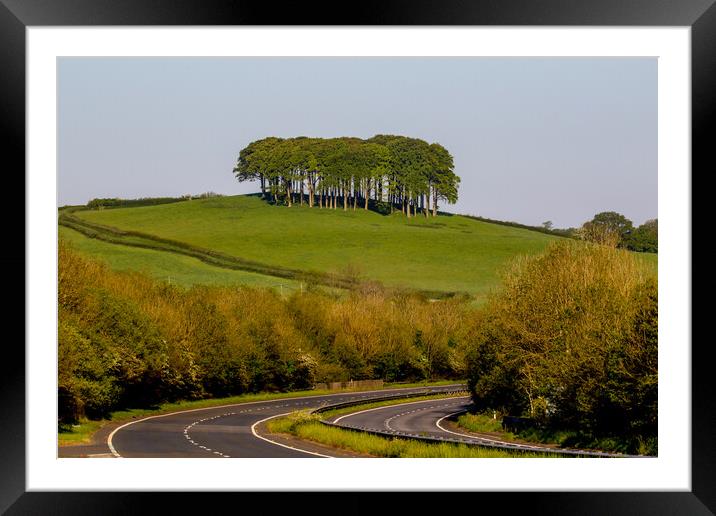 Nearly Home Trees Coming Home Trees A30 Framed Mounted Print by Oxon Images