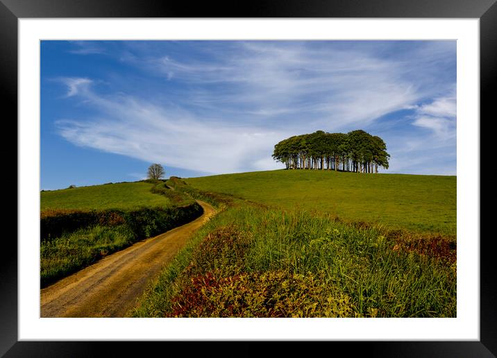 Nearly Home Trees Coming Home Trees  Framed Mounted Print by Oxon Images