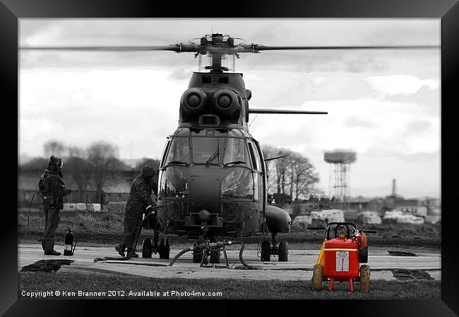 Puma refuelling Framed Print by Oxon Images