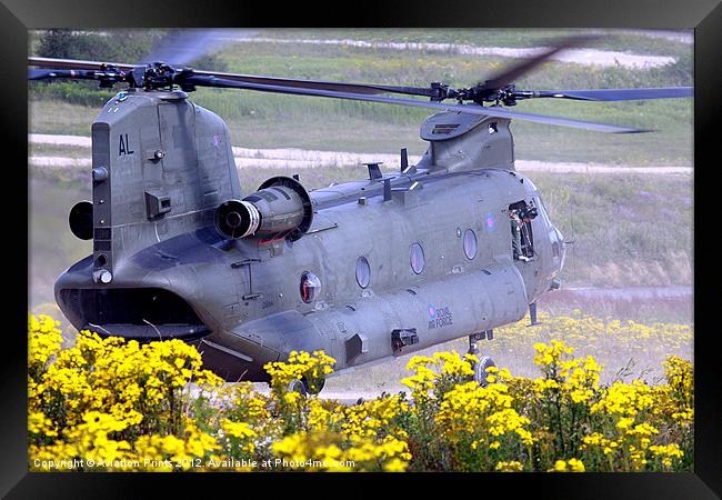 Chinook on Salisbury Plain Framed Print by Oxon Images