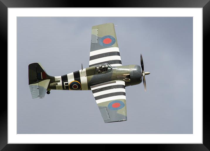 Grumman F4F Wildcat Martlet Framed Mounted Print by Oxon Images