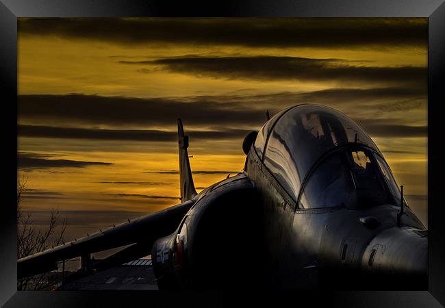 Harrier at Sunset Framed Print by Oxon Images