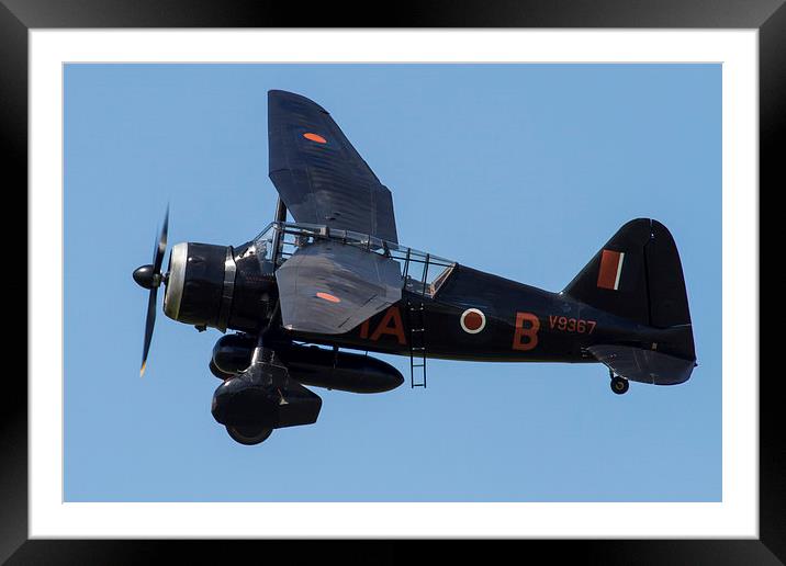 Westland Lysander Framed Mounted Print by Oxon Images